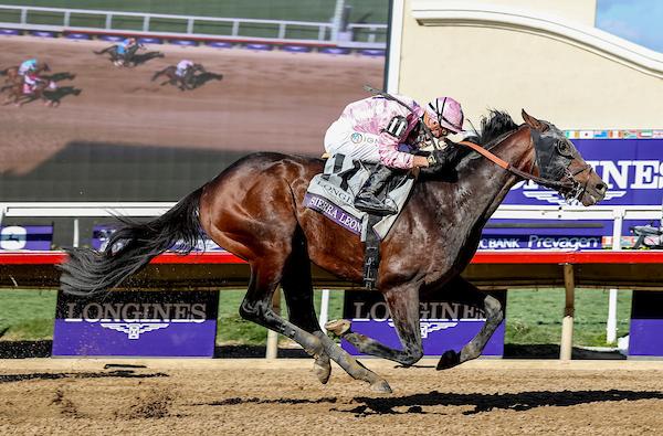 Sierra Leone, Breeders' Cup Classic, Del Mar, America's Best Racing, horse racing, ABR